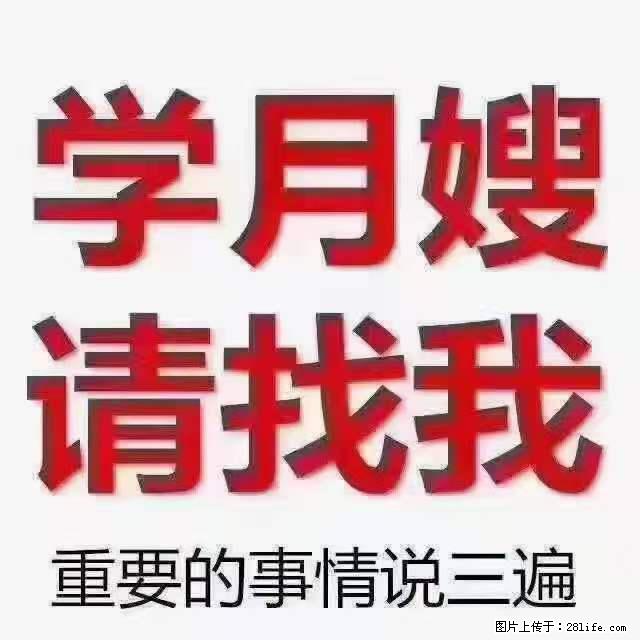 为什么要学习月嫂,育婴师? - 其他广告 - 广告专区 - 三门峡分类信息 - 三门峡28生活网 smx.28life.com