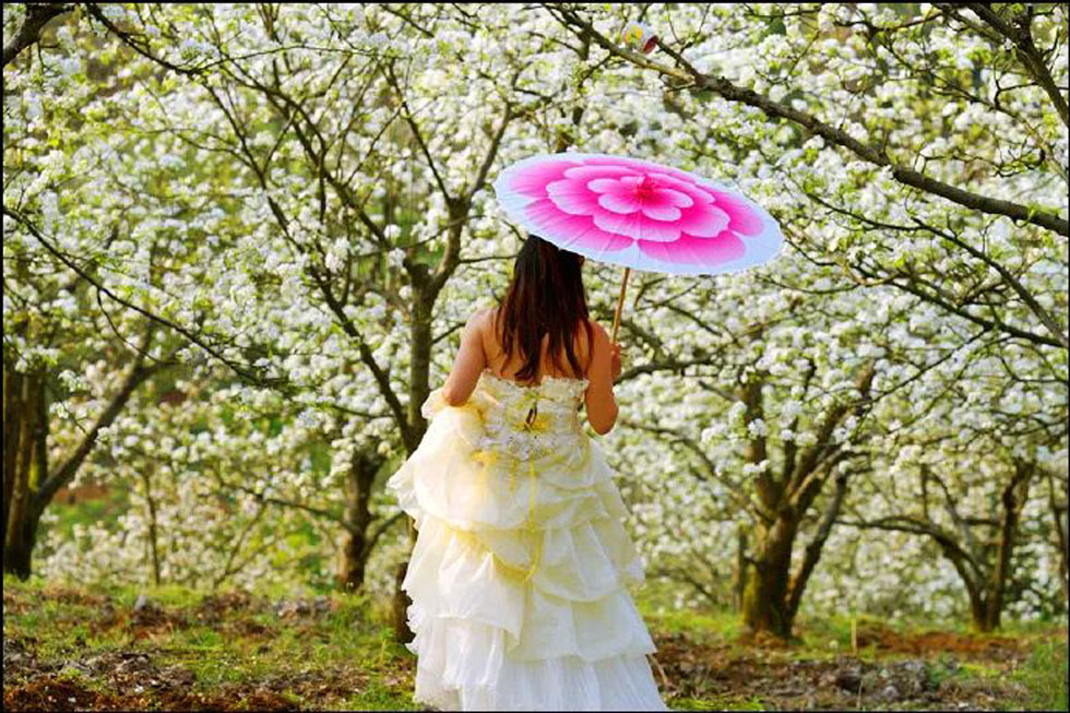 【春天，广西桂林灌阳县向您发出邀请！】我们在灌阳看梨花 - 游山玩水 - 三门峡生活社区 - 三门峡28生活网 smx.28life.com