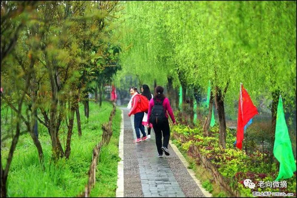 【春天,广西桂林灌阳县向您发出邀请!】江口老街又逢春 - 游山玩水 - 三门峡生活社区 - 三门峡28生活网 smx.28life.com