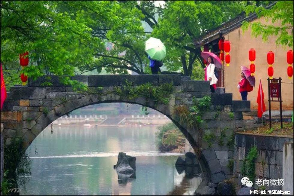 【春天,广西桂林灌阳县向您发出邀请!】江口老街又逢春 - 游山玩水 - 三门峡生活社区 - 三门峡28生活网 smx.28life.com