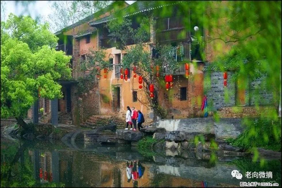 【春天,广西桂林灌阳县向您发出邀请!】江口老街又逢春 - 游山玩水 - 三门峡生活社区 - 三门峡28生活网 smx.28life.com