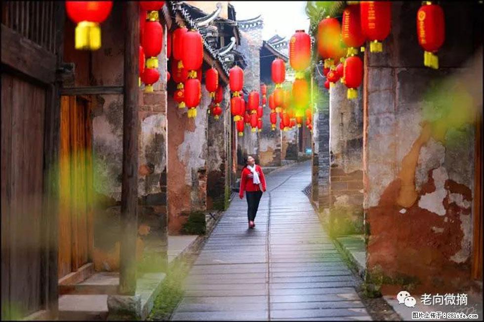 【春天,广西桂林灌阳县向您发出邀请!】江口老街又逢春 - 游山玩水 - 三门峡生活社区 - 三门峡28生活网 smx.28life.com