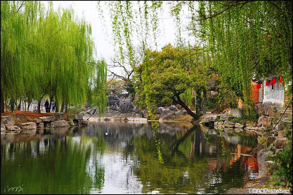 【春天,广西桂林灌阳县向您发出邀请!】江口老街又逢春 - 游山玩水 - 三门峡生活社区 - 三门峡28生活网 smx.28life.com