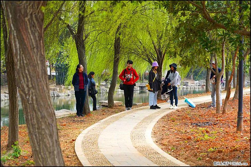 【春天,广西桂林灌阳县向您发出邀请!】江口老街又逢春 - 游山玩水 - 三门峡生活社区 - 三门峡28生活网 smx.28life.com