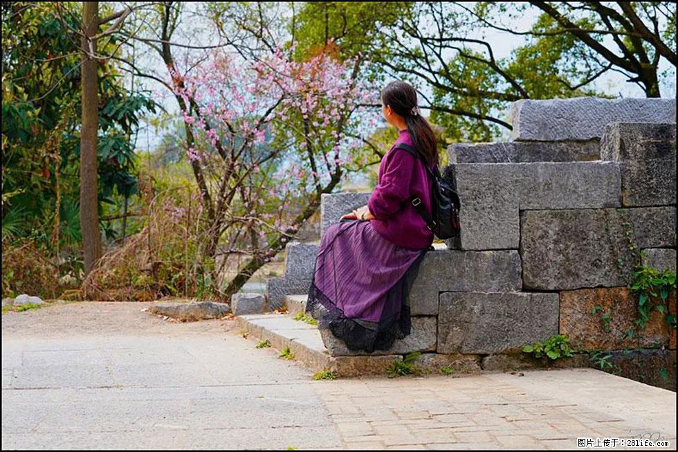 【春天,广西桂林灌阳县向您发出邀请!】江口老街又逢春 - 游山玩水 - 三门峡生活社区 - 三门峡28生活网 smx.28life.com