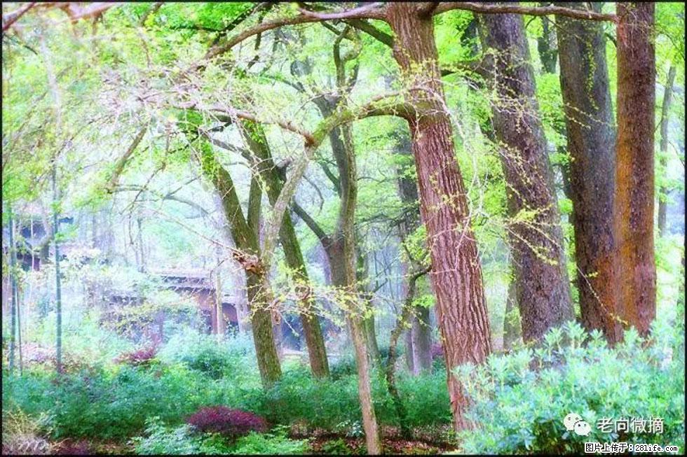 【春天，广西桂林灌阳县向您发出邀请！】在小龙村与春天约会 - 游山玩水 - 三门峡生活社区 - 三门峡28生活网 smx.28life.com