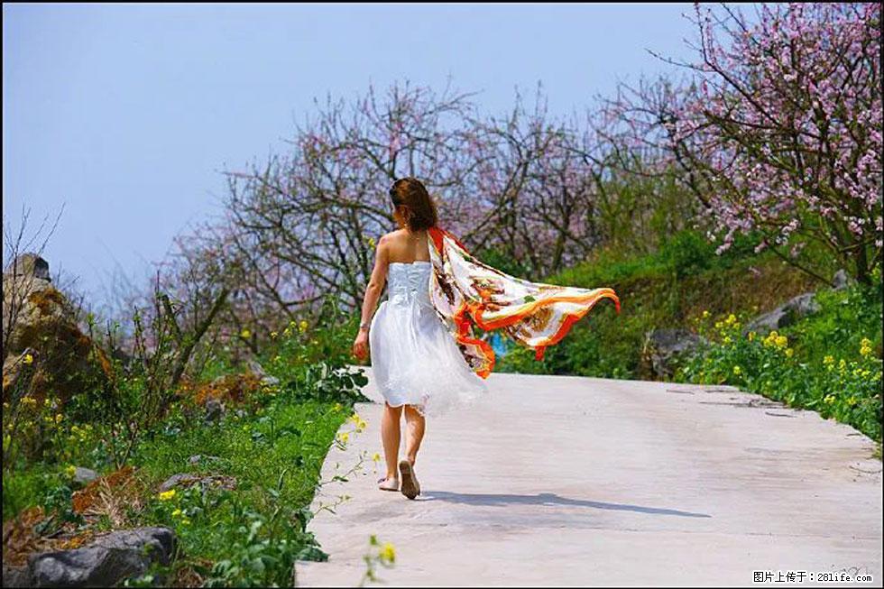 【春天，广西桂林灌阳县向您发出邀请！】望月岭上桃花开 - 游山玩水 - 三门峡生活社区 - 三门峡28生活网 smx.28life.com