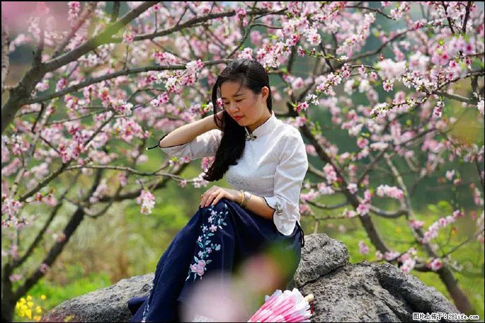 【春天，广西桂林灌阳县向您发出邀请！】望月岭上桃花开 - 游山玩水 - 三门峡生活社区 - 三门峡28生活网 smx.28life.com