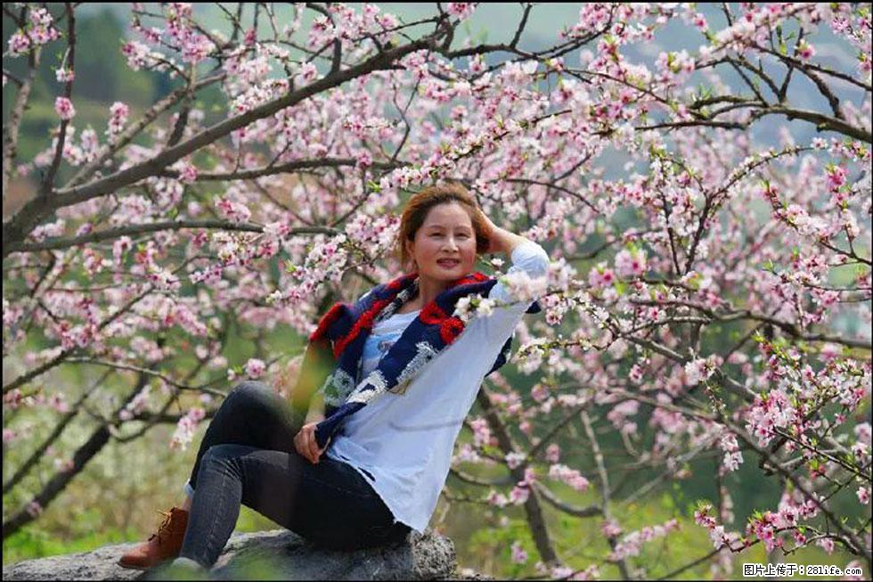 【春天，广西桂林灌阳县向您发出邀请！】望月岭上桃花开 - 游山玩水 - 三门峡生活社区 - 三门峡28生活网 smx.28life.com