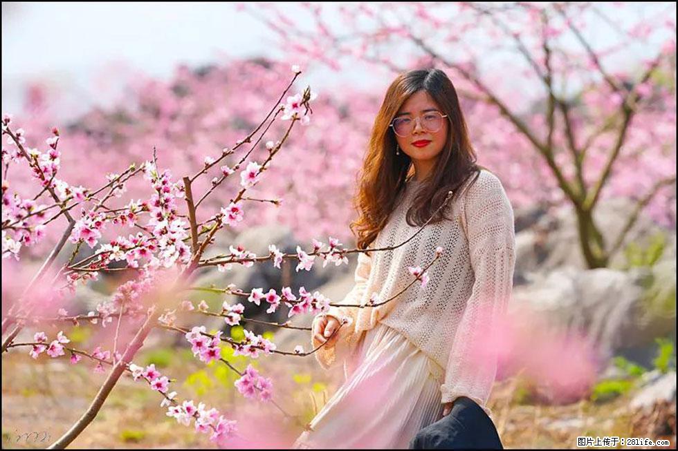 【春天，广西桂林灌阳县向您发出邀请！】望月岭上桃花开 - 游山玩水 - 三门峡生活社区 - 三门峡28生活网 smx.28life.com