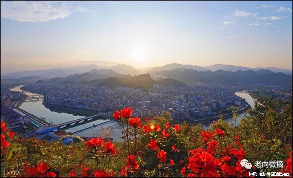【春天,广西桂林灌阳县向您发出邀请!】登麒麟山,相约映山红 - 游山玩水 - 三门峡生活社区 - 三门峡28生活网 smx.28life.com
