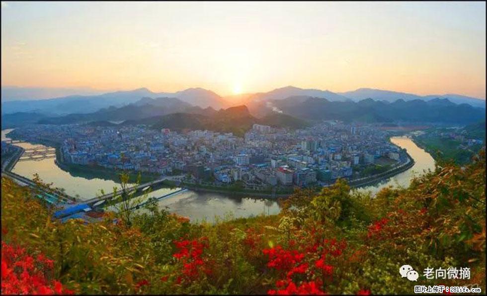 【春天,广西桂林灌阳县向您发出邀请!】登麒麟山,相约映山红 - 游山玩水 - 三门峡生活社区 - 三门峡28生活网 smx.28life.com