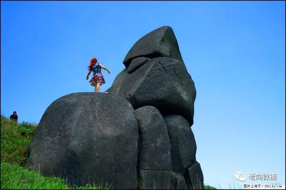 【春天，广西桂林灌阳县向您发出邀请！】宝盖山上映山红 - 游山玩水 - 三门峡生活社区 - 三门峡28生活网 smx.28life.com