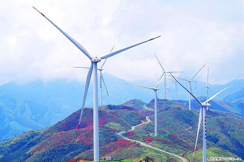 【春天，广西桂林灌阳县向您发出邀请！】春木界上映山红 - 游山玩水 - 三门峡生活社区 - 三门峡28生活网 smx.28life.com