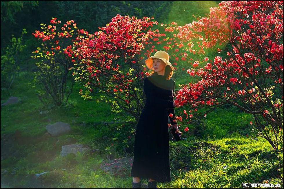 【春天，广西桂林灌阳县向您发出邀请！】春木界上映山红 - 游山玩水 - 三门峡生活社区 - 三门峡28生活网 smx.28life.com