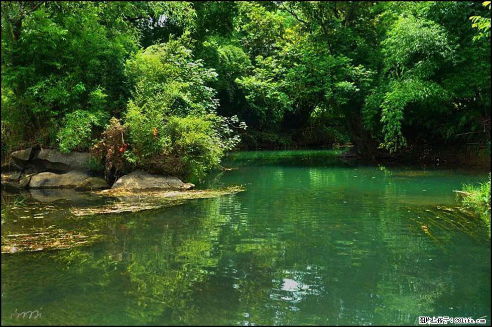 【春天,广西桂林灌阳县向您发出邀请!】如梦似幻莲溪庐 - 游山玩水 - 三门峡生活社区 - 三门峡28生活网 smx.28life.com