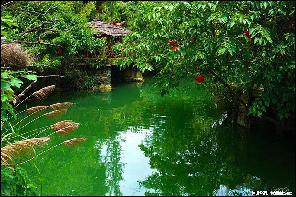 【春天,广西桂林灌阳县向您发出邀请!】如梦似幻莲溪庐 - 游山玩水 - 三门峡生活社区 - 三门峡28生活网 smx.28life.com