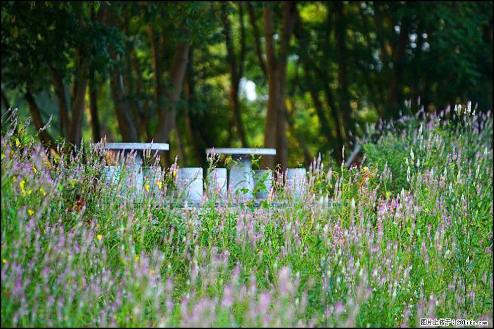 【春天，广西桂林灌阳县向您发出邀请！】熊家寨湿地公园 - 游山玩水 - 三门峡生活社区 - 三门峡28生活网 smx.28life.com