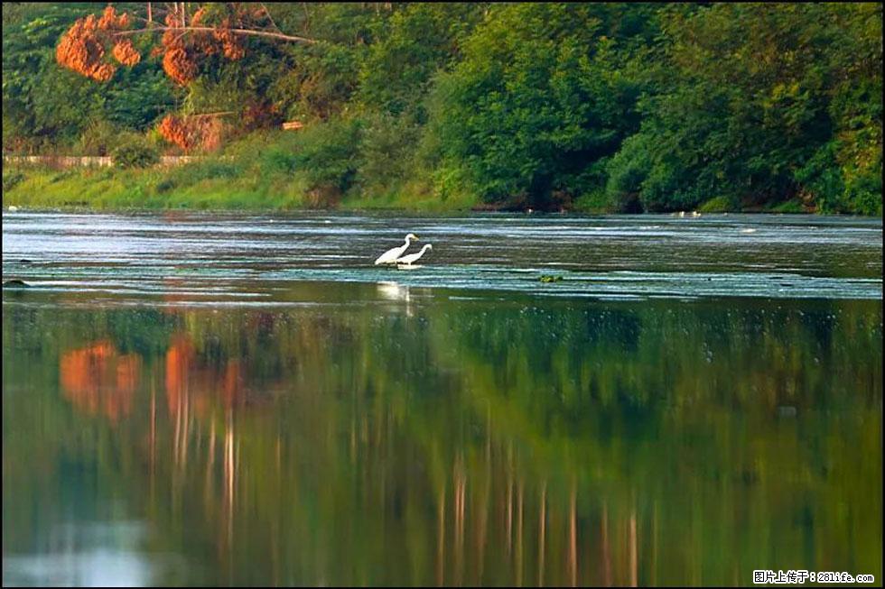 【春天，广西桂林灌阳县向您发出邀请！】熊家寨湿地公园 - 游山玩水 - 三门峡生活社区 - 三门峡28生活网 smx.28life.com