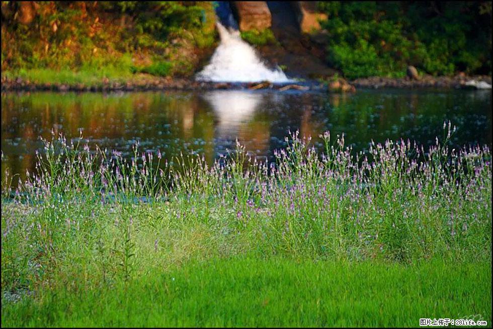 【春天，广西桂林灌阳县向您发出邀请！】熊家寨湿地公园 - 游山玩水 - 三门峡生活社区 - 三门峡28生活网 smx.28life.com