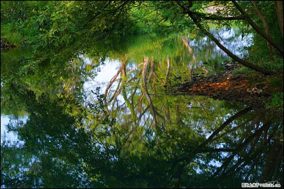 【春天，广西桂林灌阳县向您发出邀请！】熊家寨湿地公园 - 游山玩水 - 三门峡生活社区 - 三门峡28生活网 smx.28life.com