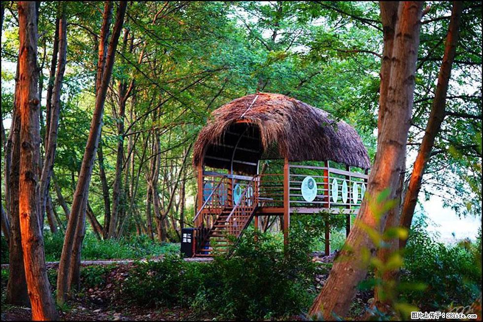 【春天，广西桂林灌阳县向您发出邀请！】熊家寨湿地公园 - 游山玩水 - 三门峡生活社区 - 三门峡28生活网 smx.28life.com