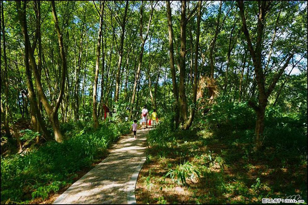 【春天，广西桂林灌阳县向您发出邀请！】熊家寨湿地公园 - 游山玩水 - 三门峡生活社区 - 三门峡28生活网 smx.28life.com