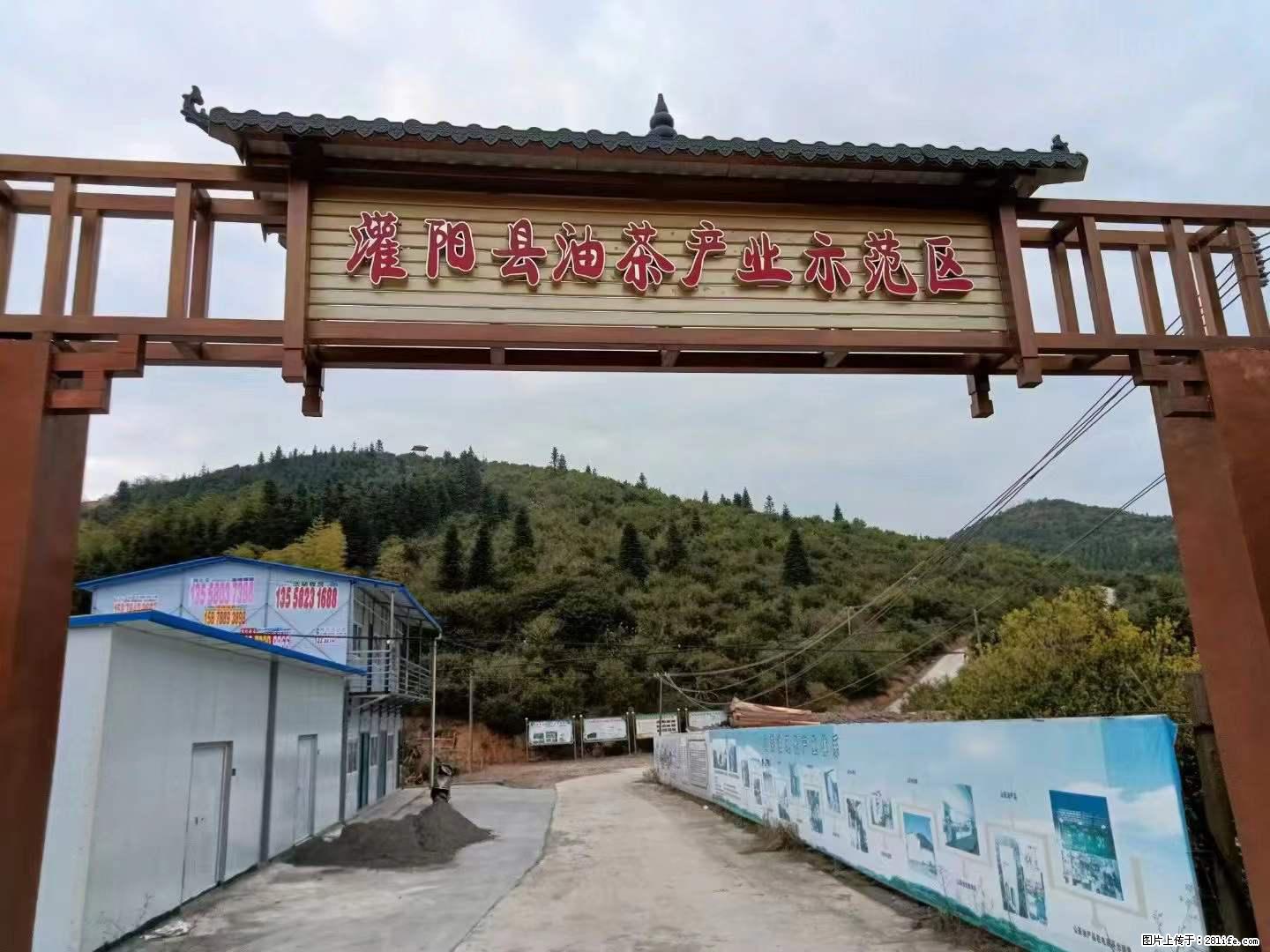 【灌阳县油茶产业示范区】一个有着充实的精神生活的人，对待身外之物自会有一种淡泊的态度 - 美食天地 - 三门峡生活社区 - 三门峡28生活网 smx.28life.com