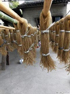 【灌阳正宗红薯粉】美女家里自己做的，干净卫生，假一赔十，价格合理，抢购电话：13737312895 - 三门峡28生活网 smx.28life.com