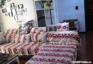 市中心宏江精装新房出租 - 三门峡28生活网 smx.28life.com