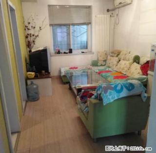 (单间出租)六峰路与虢国路口三小东 精装修 全套家具家电 拎包入住 - 三门峡28生活网 smx.28life.com