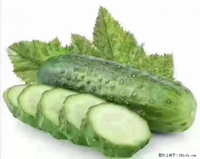 【生活小常识】吃黄瓜的好处 - 生活百科 - 三门峡生活社区 - 三门峡28生活网 smx.28life.com