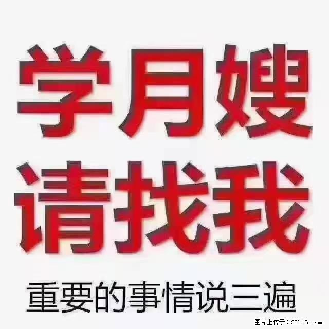 【招聘】月嫂,上海徐汇区 - 职场交流 - 三门峡生活社区 - 三门峡28生活网 smx.28life.com