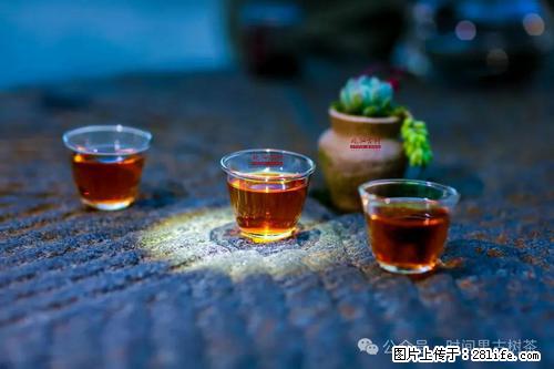 时间果百年古树2025年春红茶 - 购物交流 - 三门峡生活社区 - 三门峡28生活网 smx.28life.com