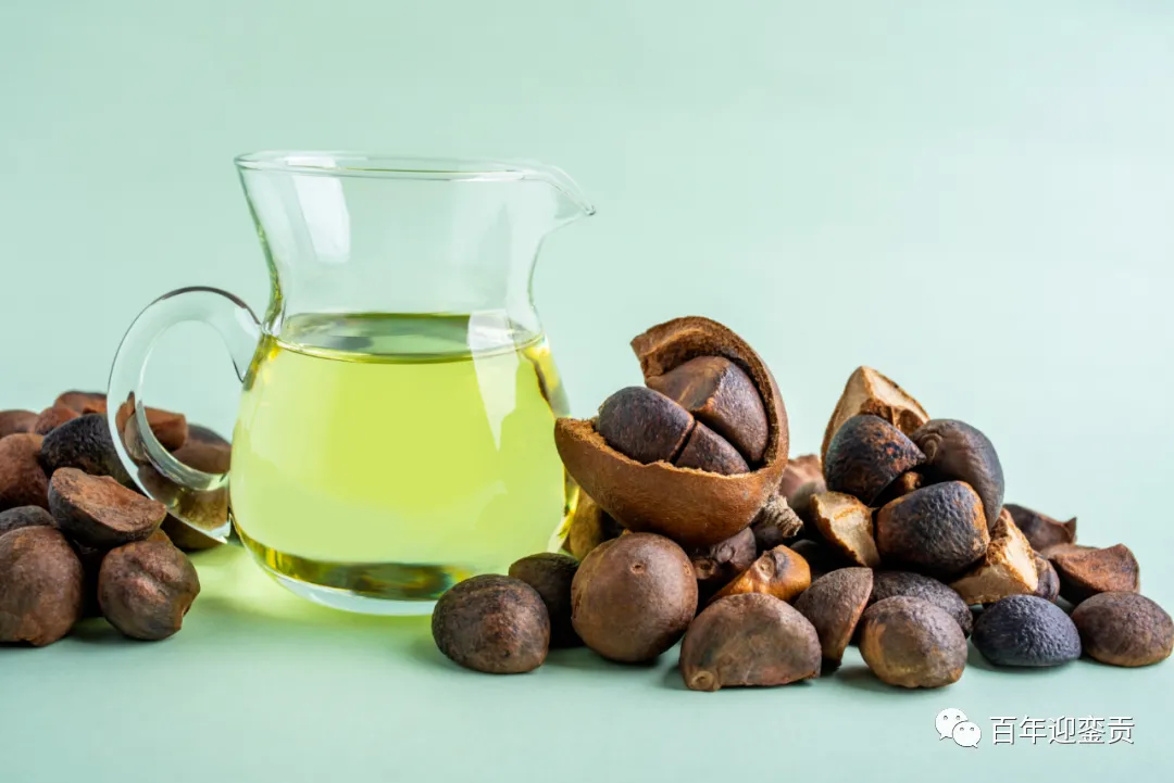世界没有真相,只有认知,最好的食用油是中国的山茶油! - 三门峡生活资讯 - 三门峡28生活网 smx.28life.com