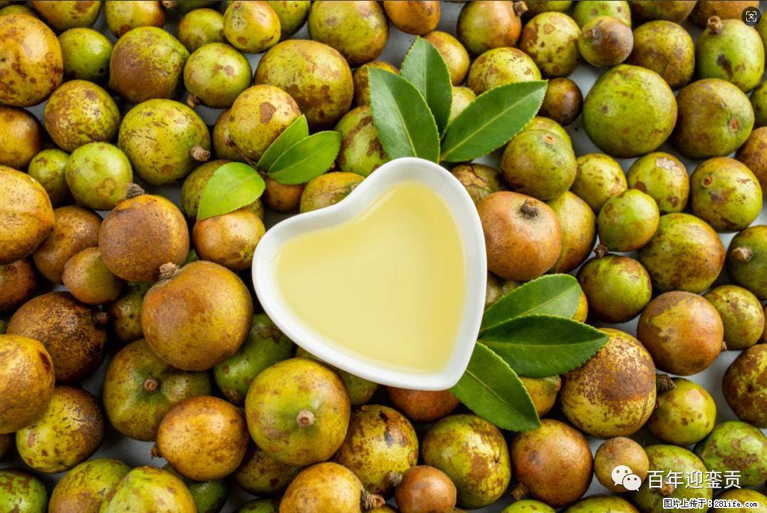 世界没有真相,只有认知,最好的食用油是中国的山茶油! - 三门峡生活资讯 - 三门峡28生活网 smx.28life.com