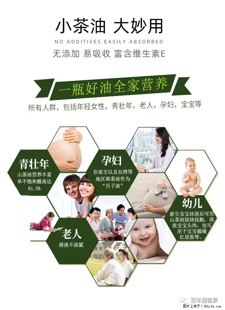 世界没有真相,只有认知,最好的食用油是中国的山茶油! - 三门峡生活资讯 - 三门峡28生活网 smx.28life.com