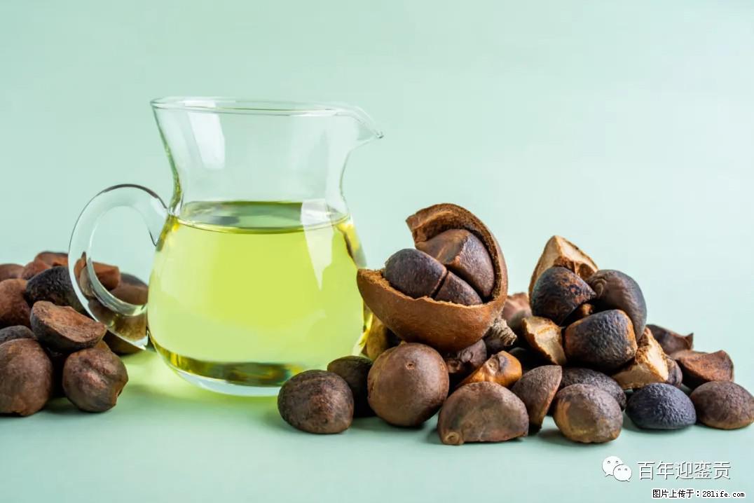 世界没有真相，只有认知，最好的食用油是中国的山茶油！ - 三门峡生活资讯 - 三门峡28生活网 smx.28life.com