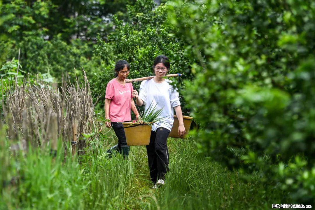 全网追的“扁担女孩”,找了一份暑假工,时薪12元 - 三门峡生活资讯 - 三门峡28生活网 smx.28life.com