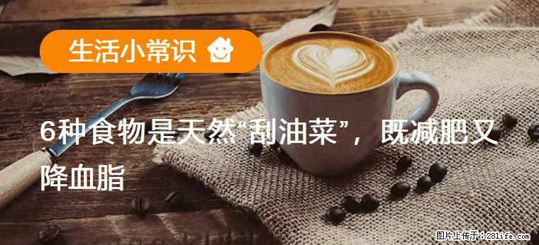【生活小常识】6种食物是天然“刮油菜”,既减肥又降血脂 - 三门峡生活资讯 - 三门峡28生活网 smx.28life.com