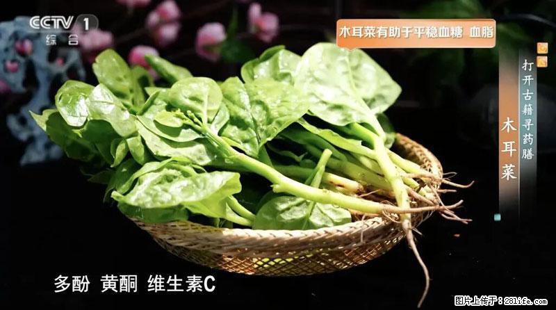 比牛奶补钙还厉害！凉血解毒、稳血糖...这菜冬天必吃，很多人却当草 - 三门峡生活资讯 - 三门峡28生活网 smx.28life.com