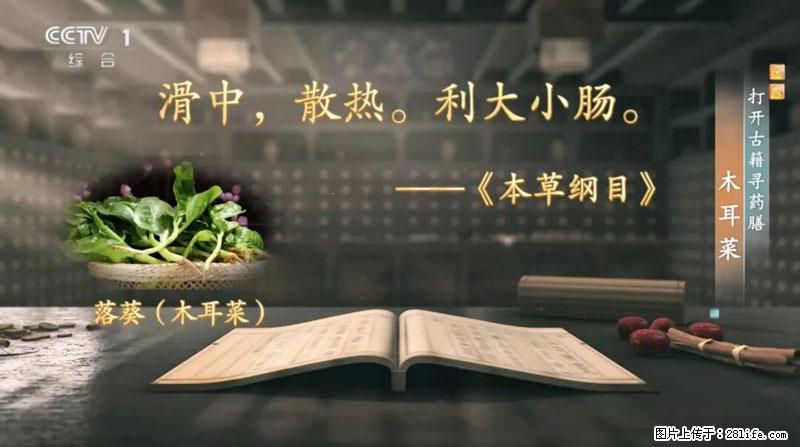 比牛奶补钙还厉害！凉血解毒、稳血糖...这菜冬天必吃，很多人却当草 - 三门峡生活资讯 - 三门峡28生活网 smx.28life.com