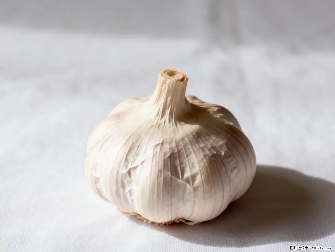 关于大蒜，除了“天然抗生素”，这4个谣言更该警惕! - 三门峡生活资讯 - 三门峡28生活网 smx.28life.com