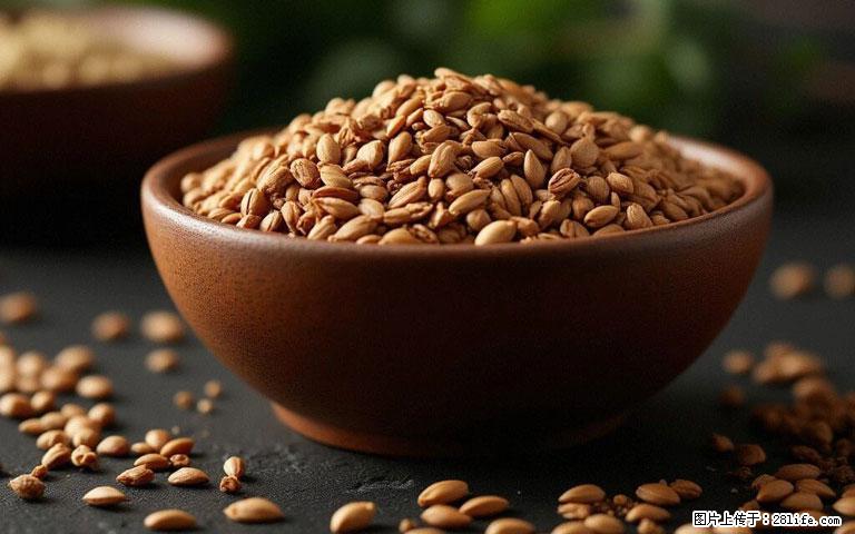 这三苦是三高“克星”，心血管干净不易堵！每天吃一点，指标慢慢降下来~ - 三门峡生活资讯 - 三门峡28生活网 smx.28life.com