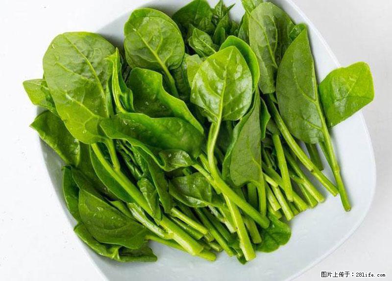 这些蔬菜是“天然钙片”，这6种被医生重点推荐 - 三门峡生活资讯 - 三门峡28生活网 smx.28life.com