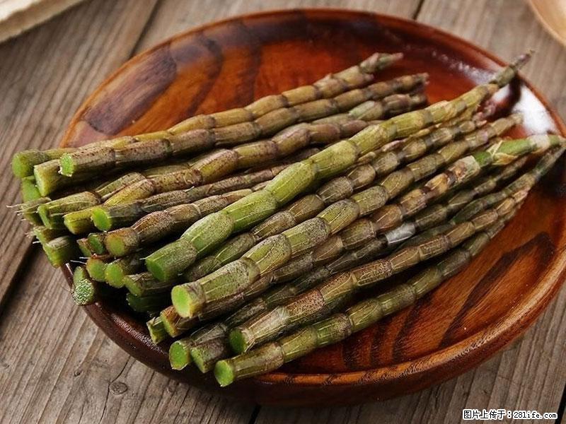 铁皮石斛的作用与功能主治 - 三门峡生活资讯 - 三门峡28生活网 smx.28life.com