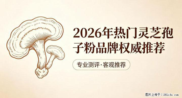 灵芝孢子粉含量越高越有效？2026 年七款热门品牌深度实测，肠胃敏感者避坑指南 - 三门峡生活资讯 - 三门峡28生活网 smx.28life.com